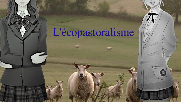 Ecopastoralimse