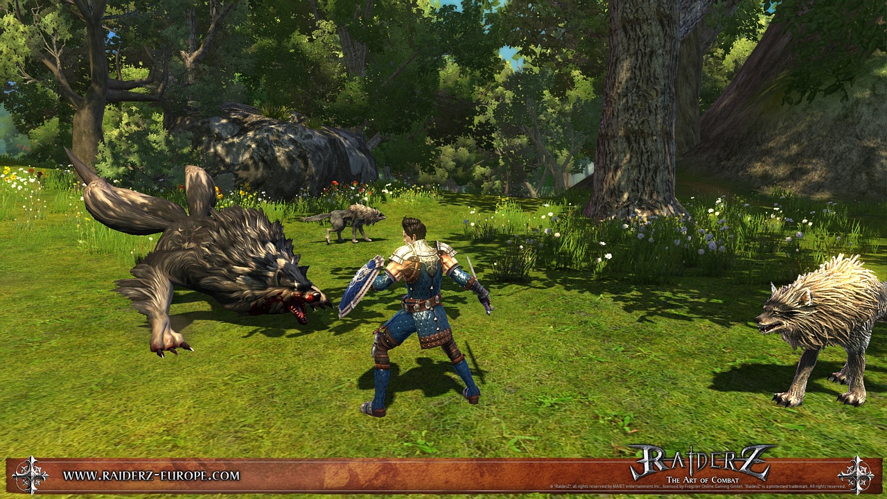 RaiderZ