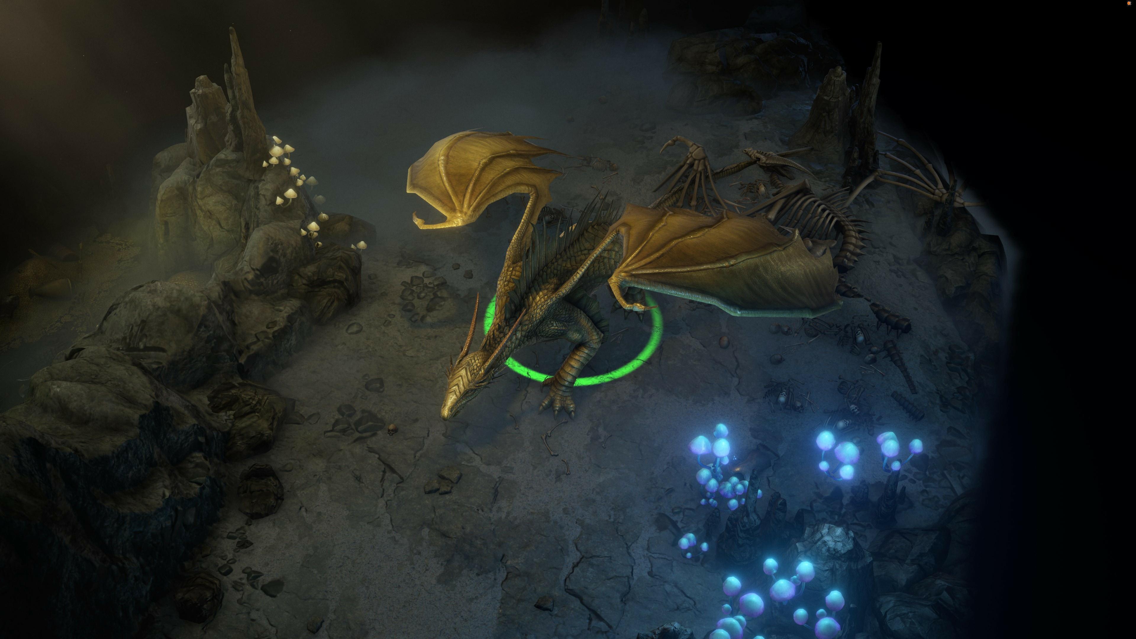 Image 3624435