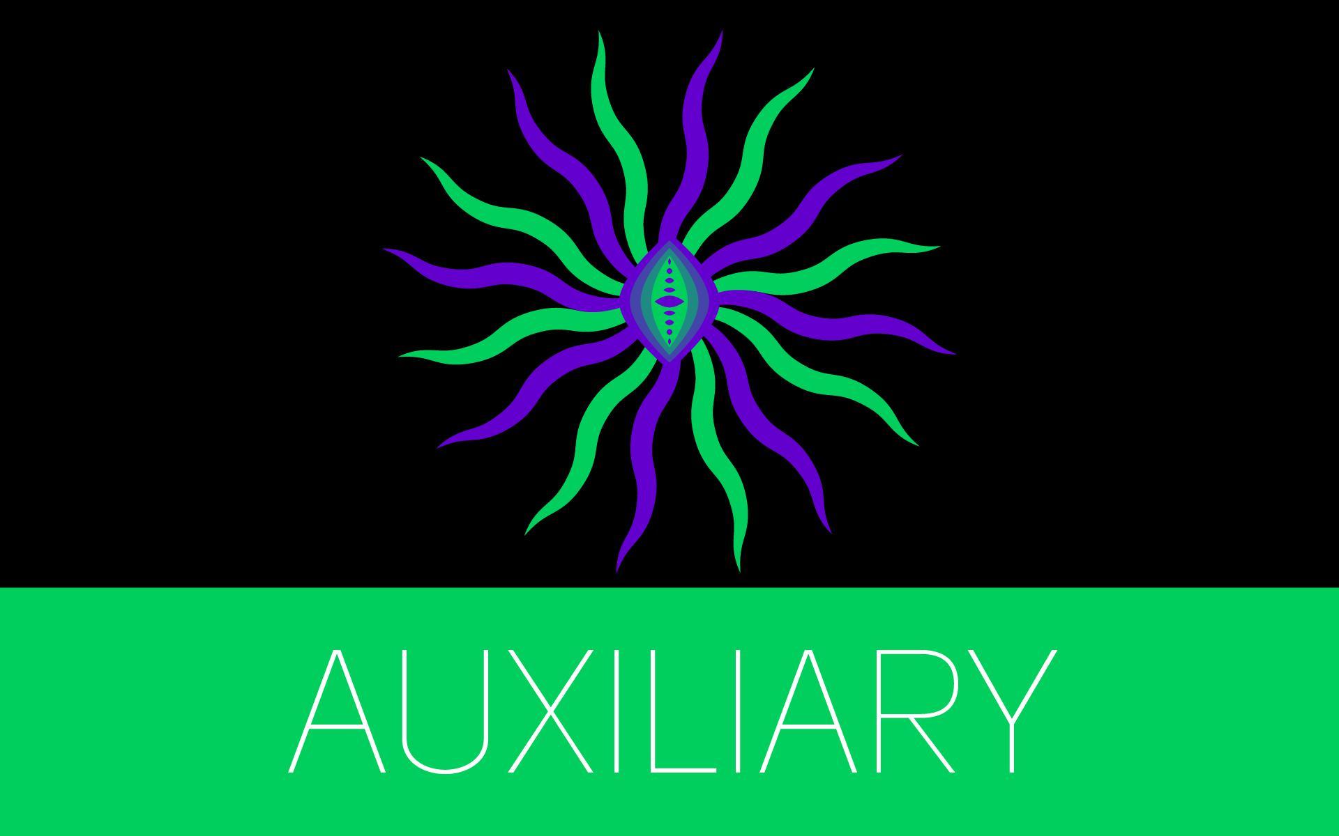 Auxiliary
