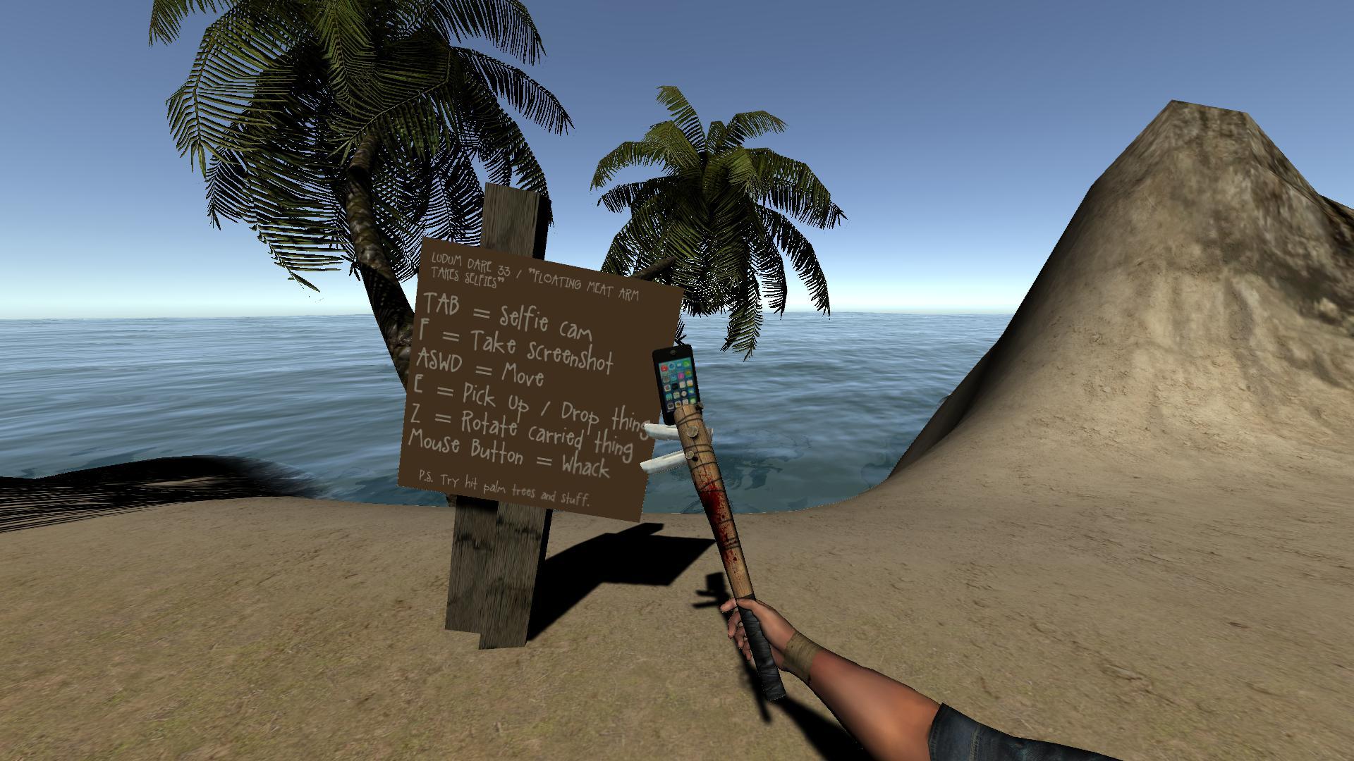 LD33 - Floating Arm Takes Selfies