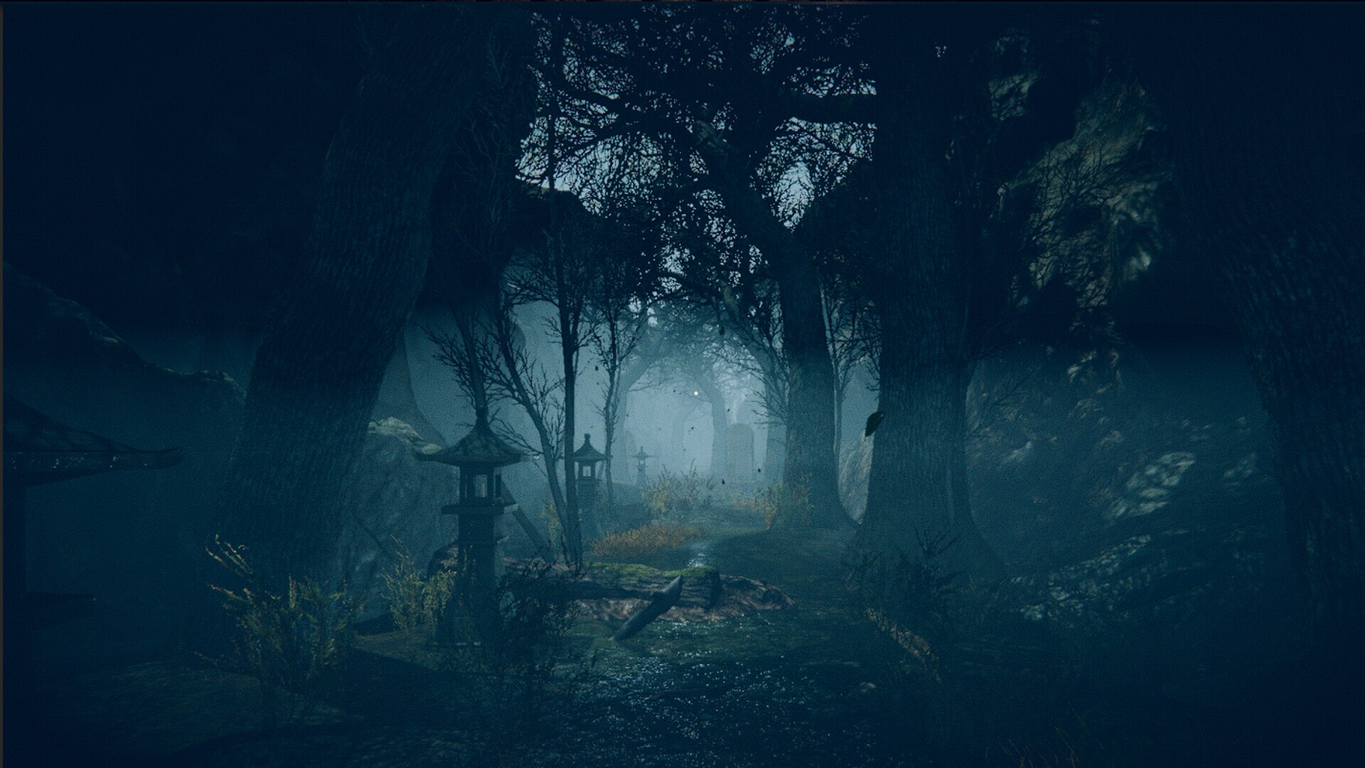Image 4065293