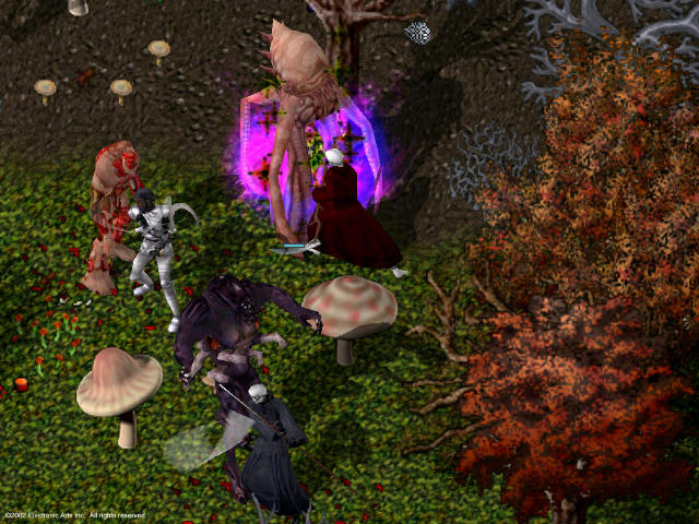 Image 347316