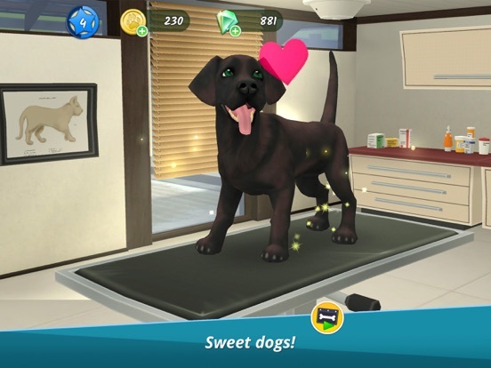 Pet World – My Animal Hospital