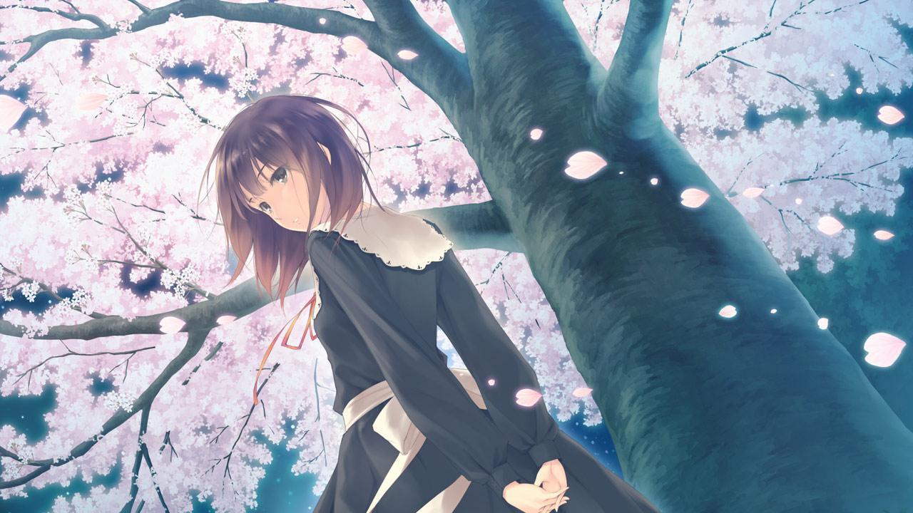 Flowers - Le Volume Sur Printemps