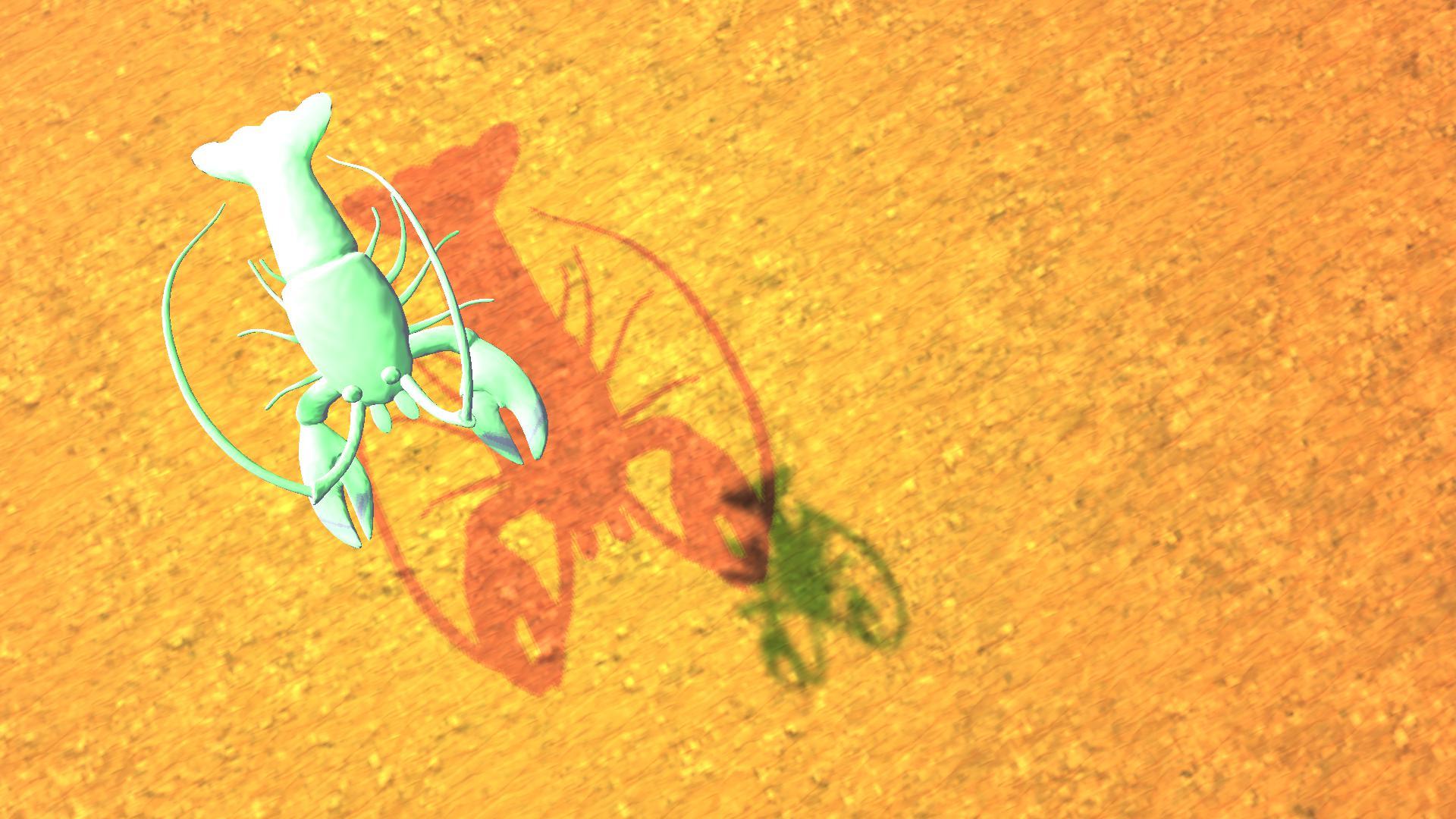 Climb the Metamorphosis of Narcissus