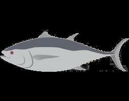 Fish Game (Rockyeec)