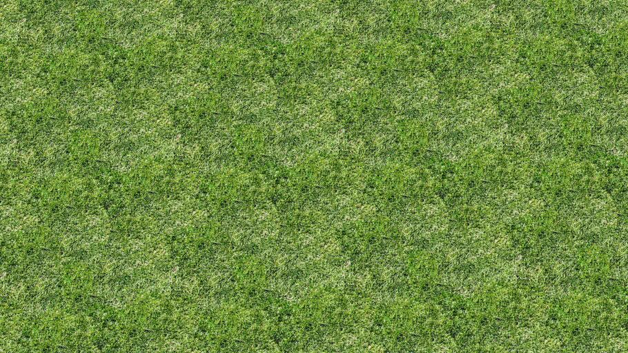 Reaction time (TheCurryGodhimself)