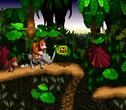 Donkey Kong Country