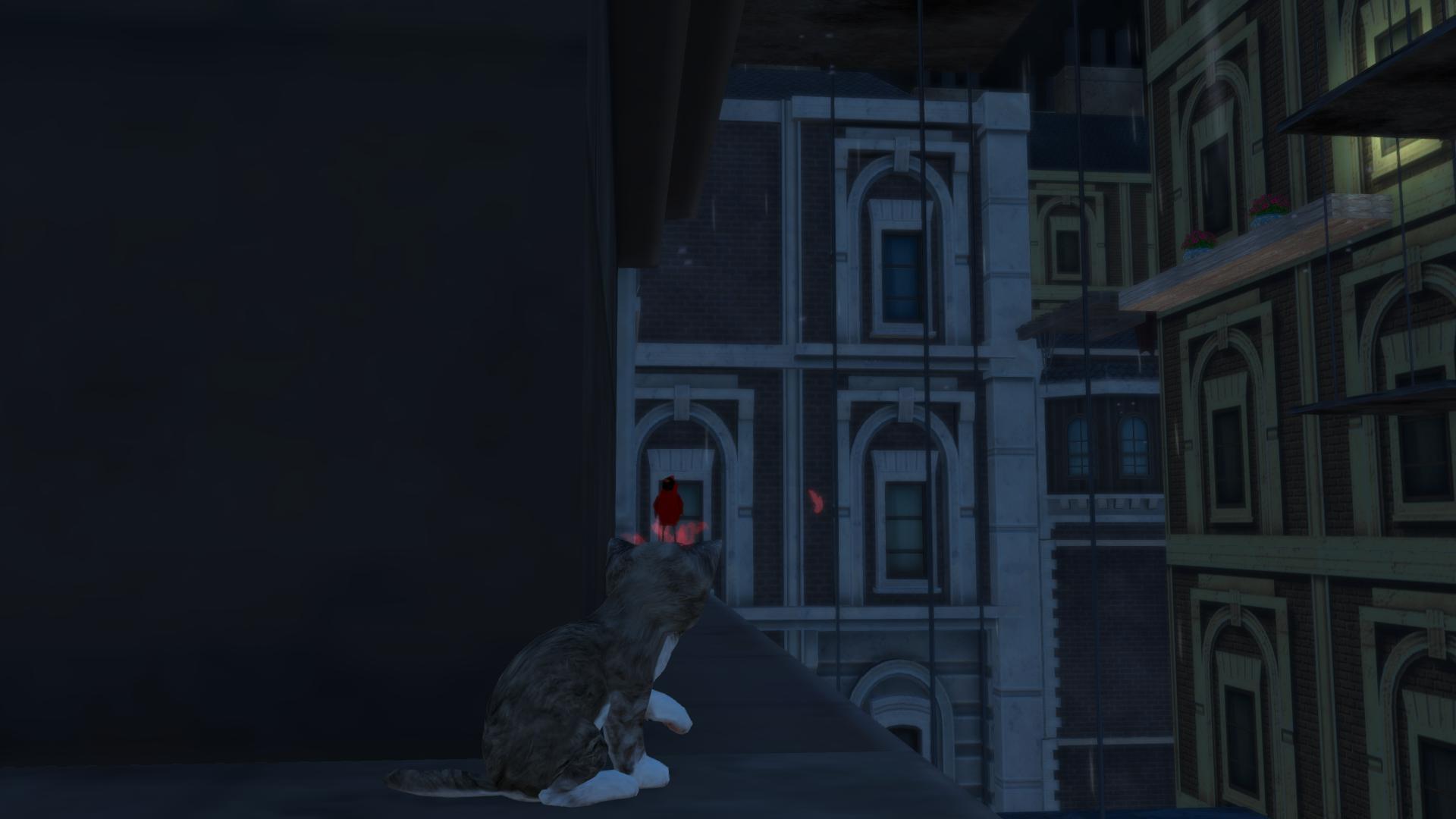 La nuit, tous les chats sont gris