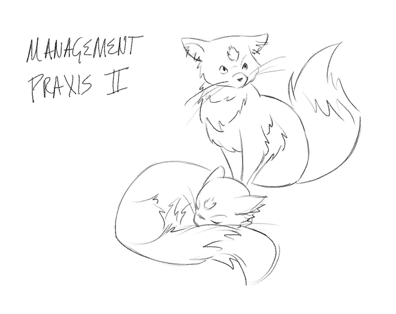 Management Praxis II