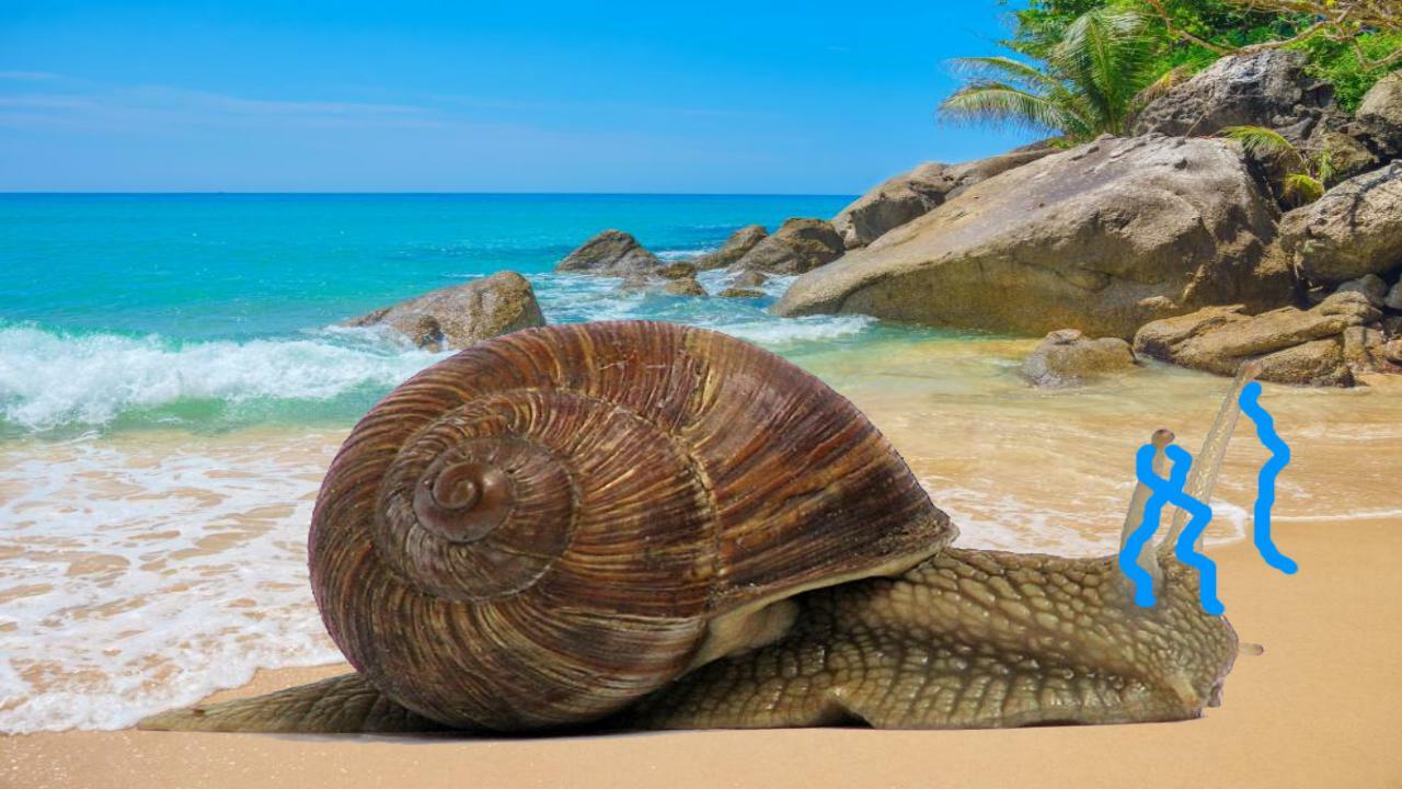 Snailovo epik dobrodružství