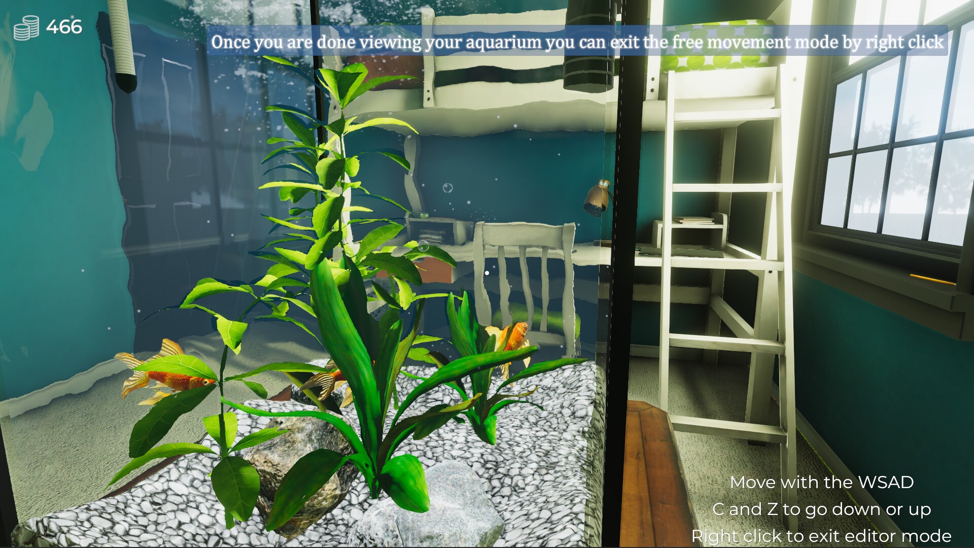 Aquarist - My First Job