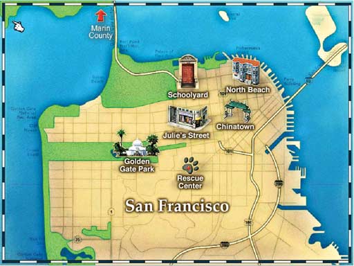 American Girl: Julie Saves the Eagles