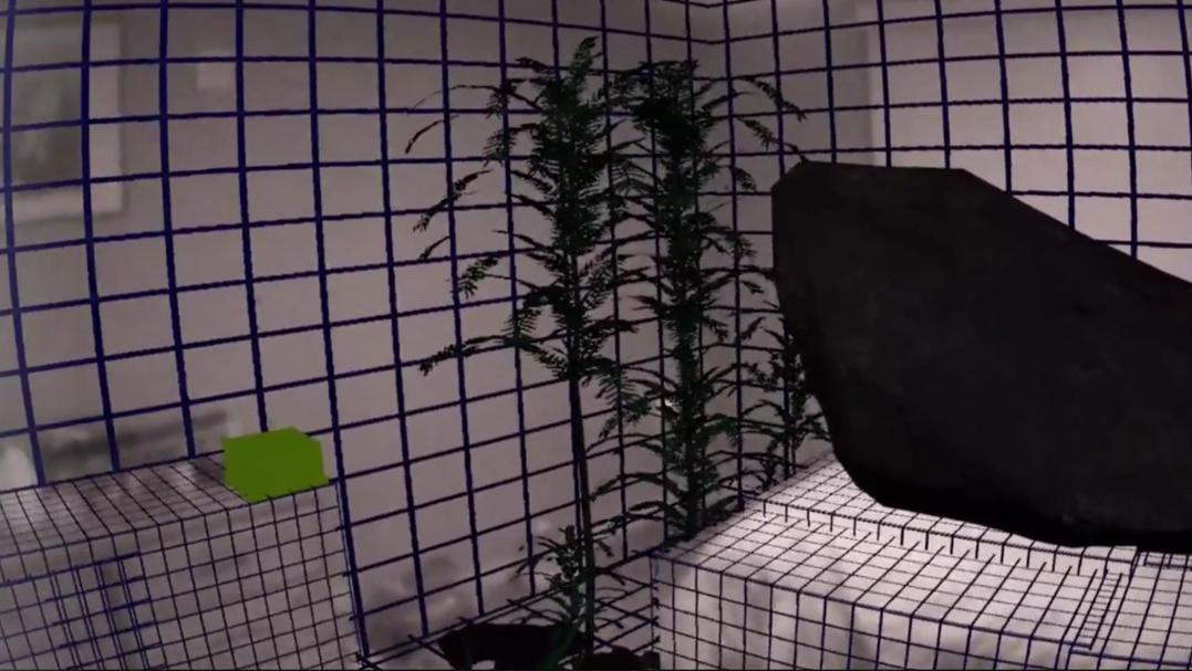 Mixed Reality Wild Animal Escape