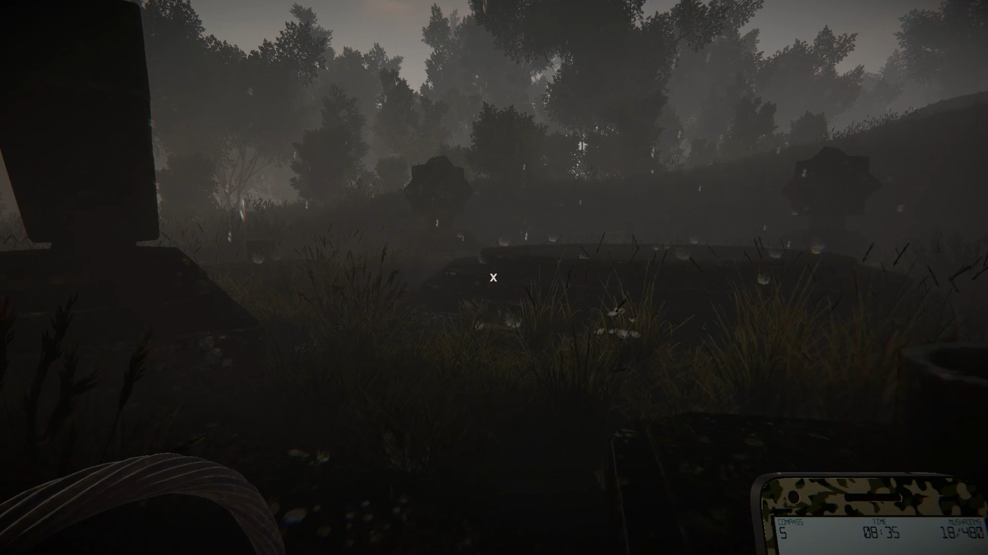 Mushrooms: Forest Walker