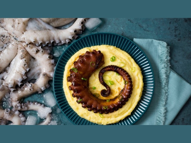 GameJamDeLaLoose_CookThePoulpe