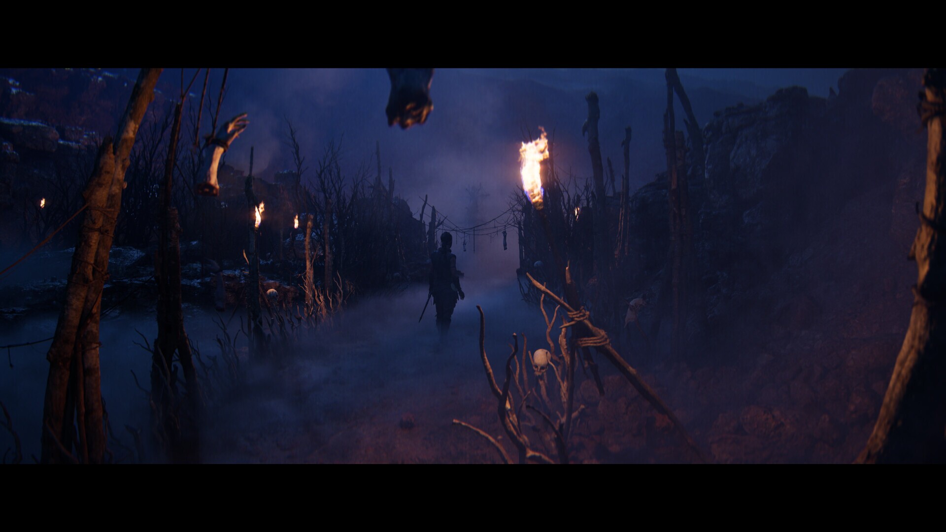 Image 4045689