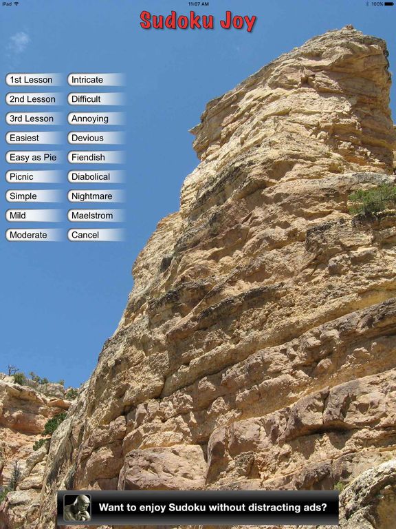 Sudoku Joy