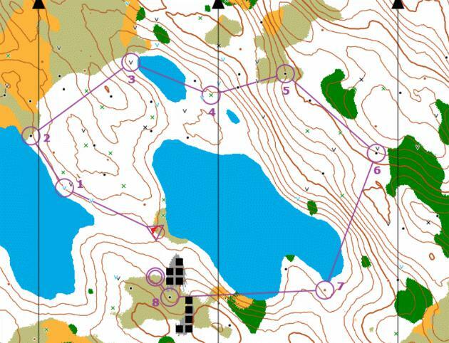 The Forest (itch) (grelf)