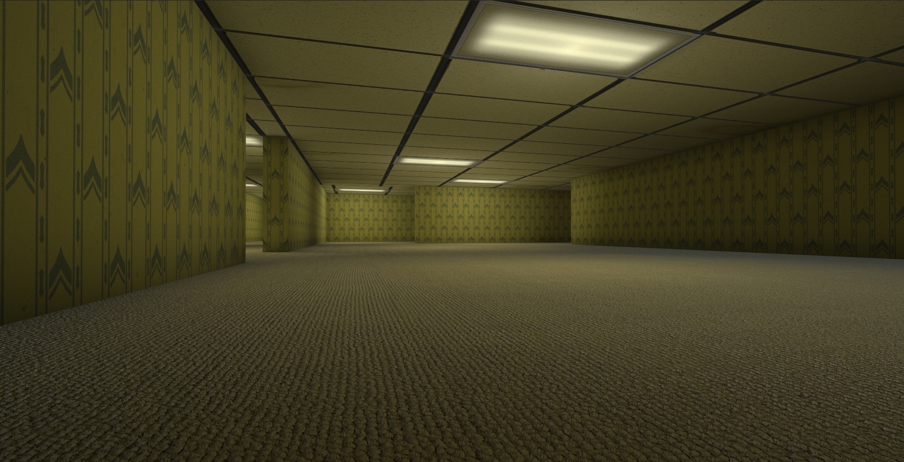 Image 2436157