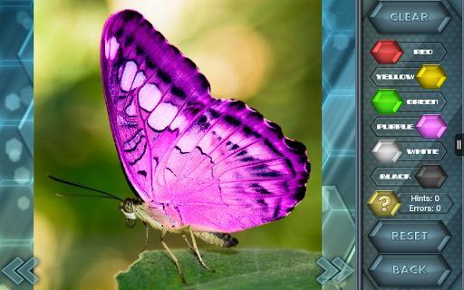 HexLogic - Butterflies