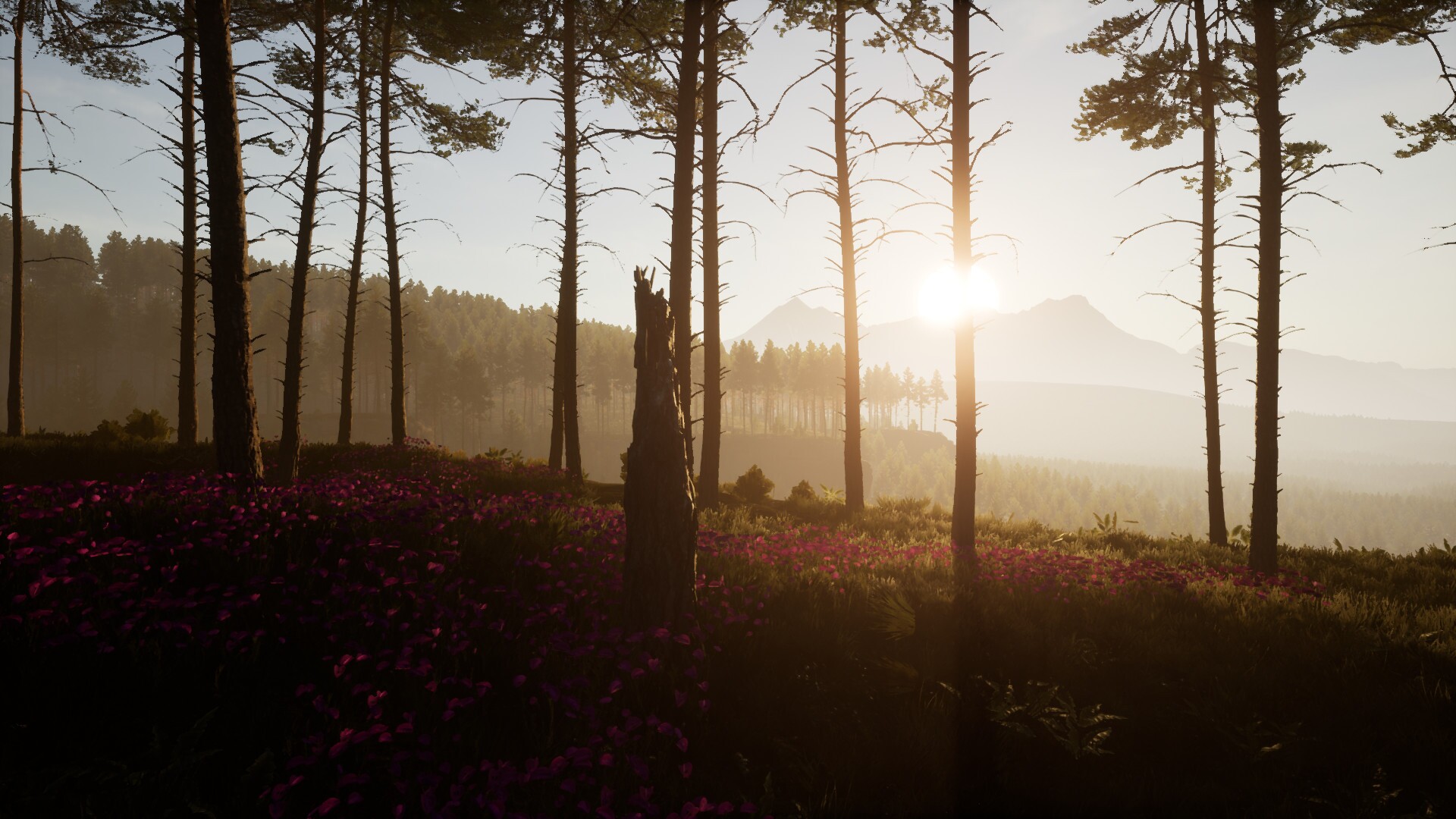 Image 3513340