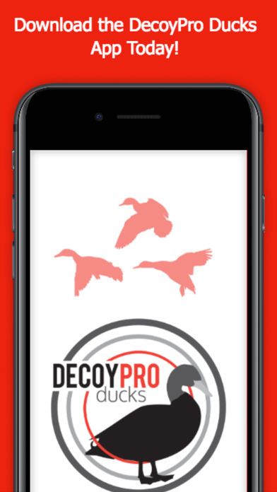 Duck Hunting Spreads & Diagrams - Duck Hunting App