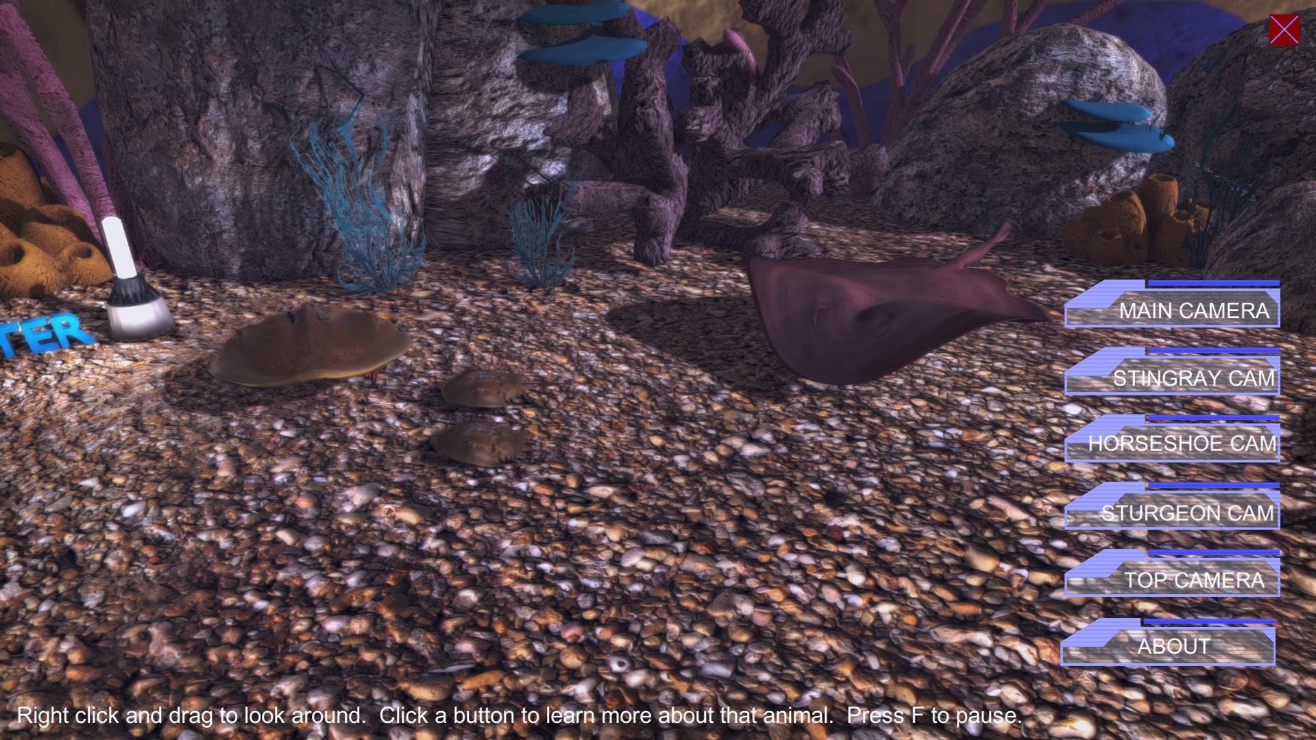 Virtual Aquarium (Discovery World Touch Tank)