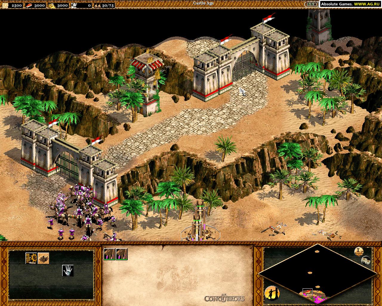 Age of Empires II: The Conquerors