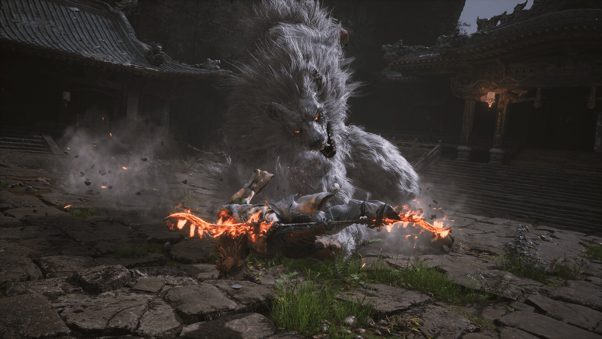 Image 4083887