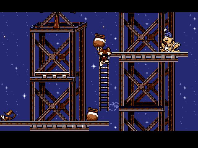 Titus The Fox: To Marrakech and Back