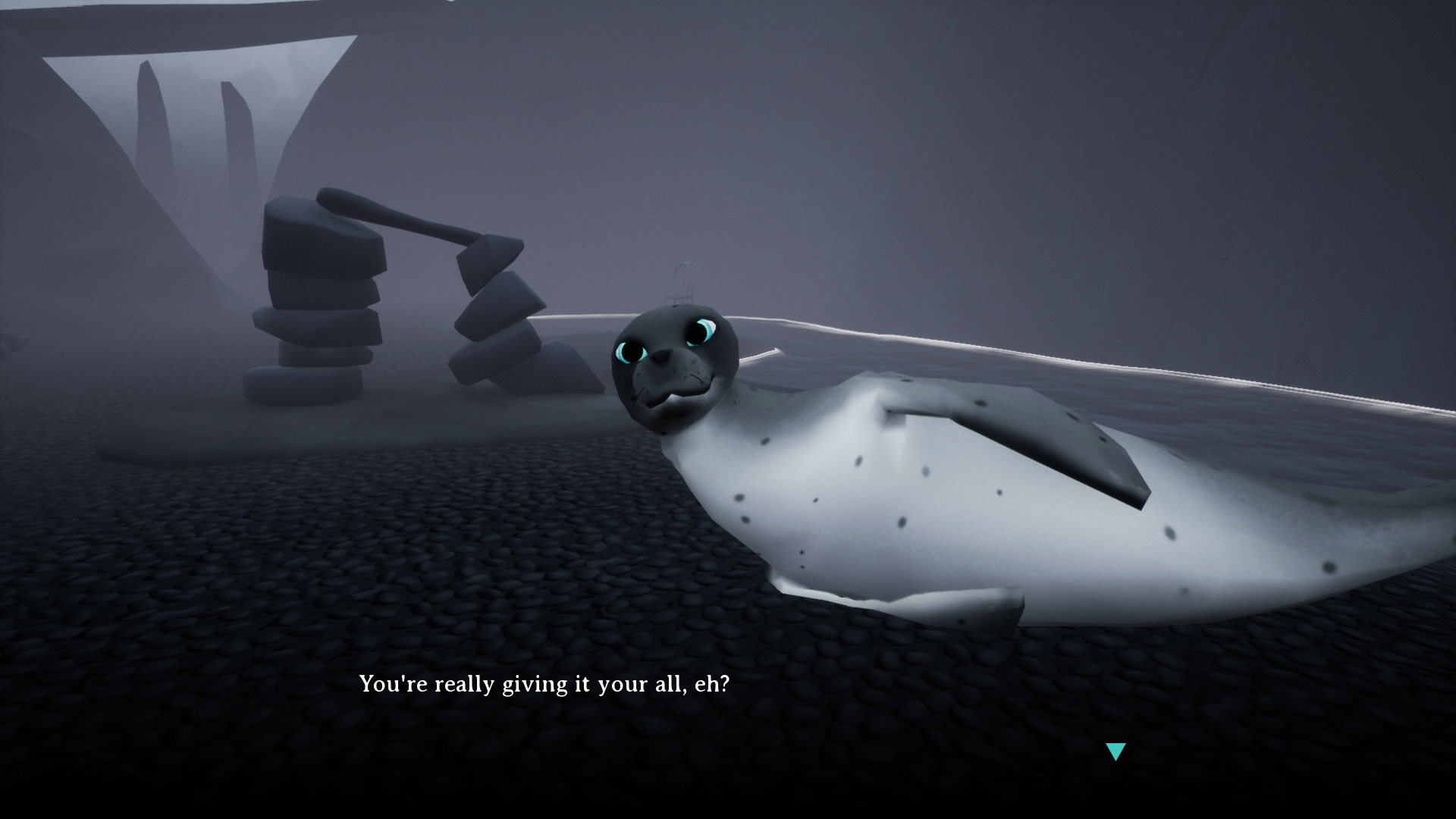 Everything you didn't get to do