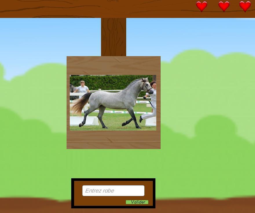 Quizz robe chevaux