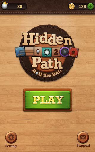 Roll the Ball: Hidden Path