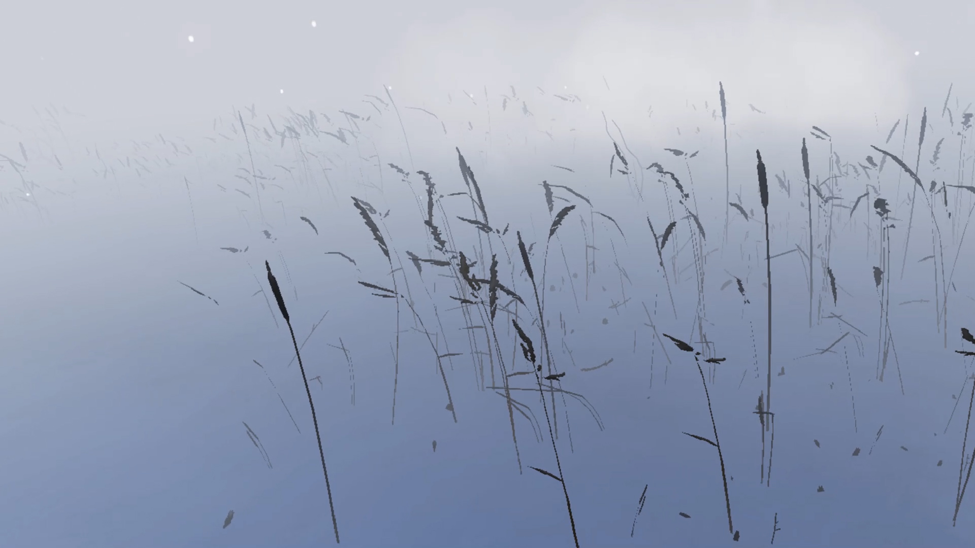 Storm VR