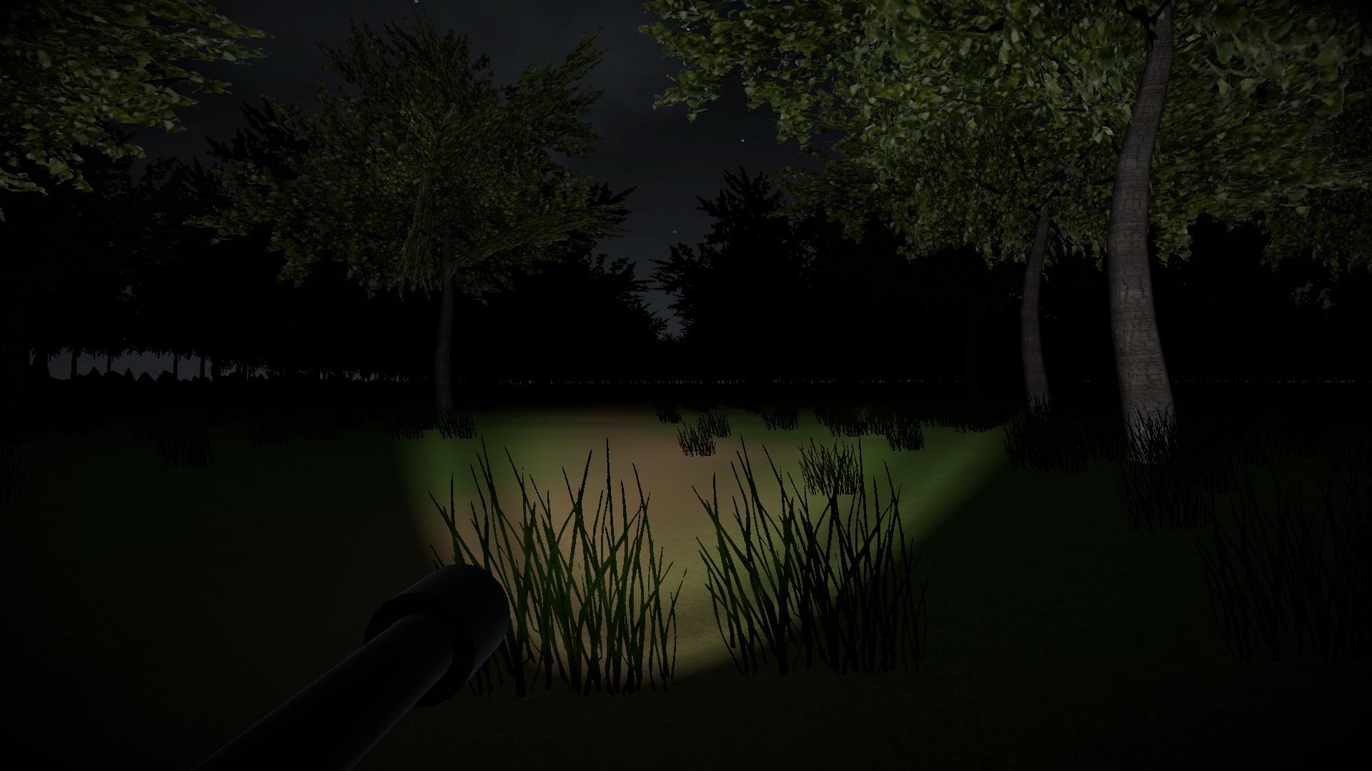 The Forest Is Cursed