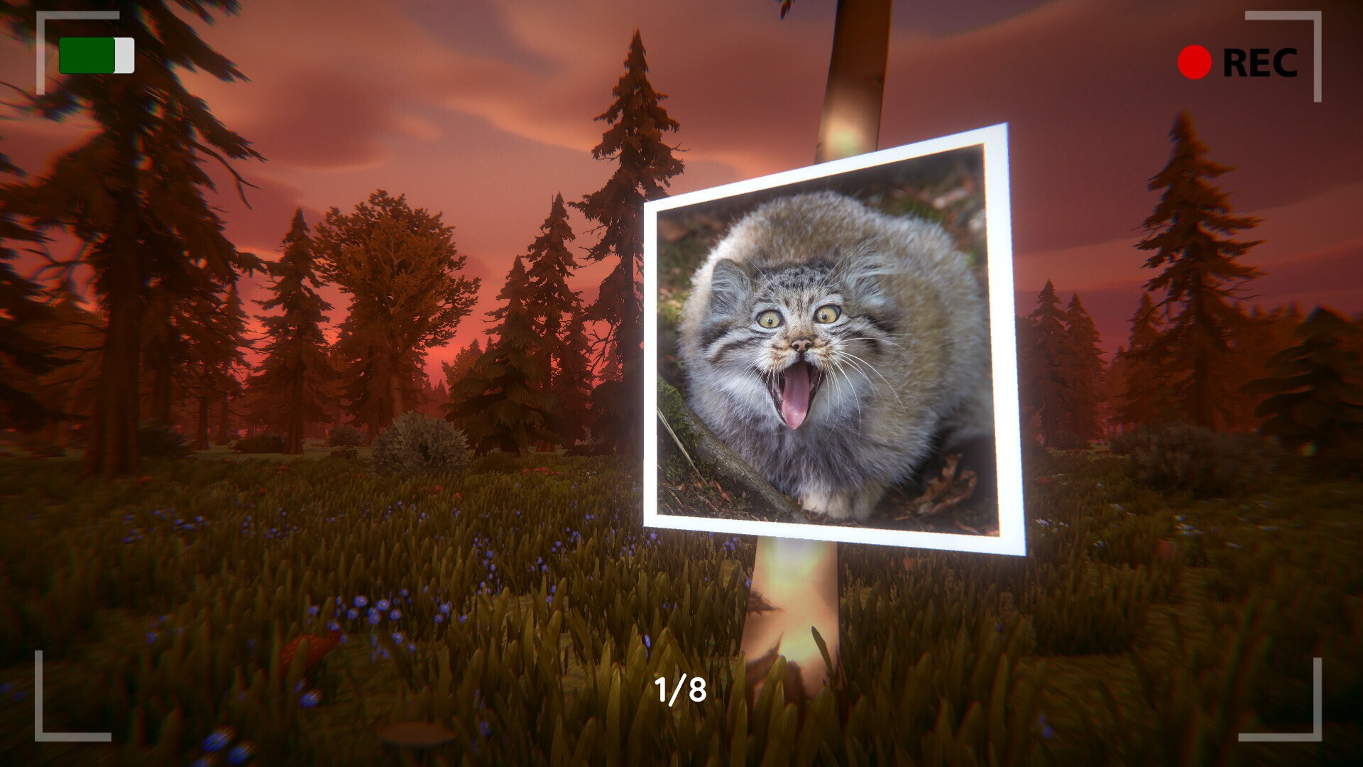 Image 4018557