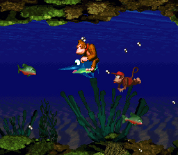 Donkey Kong Country