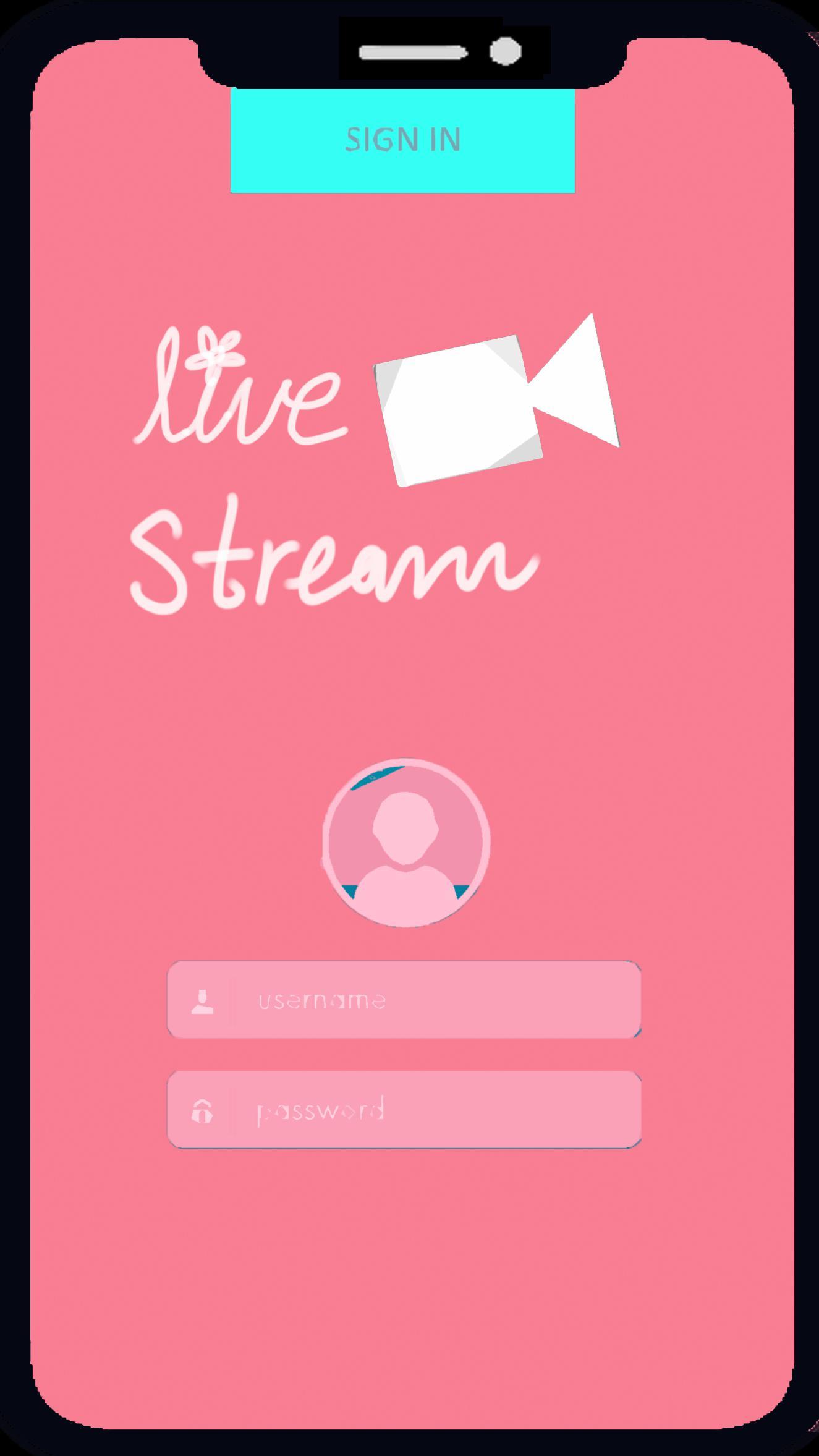 How To Be An Internet Celebrity