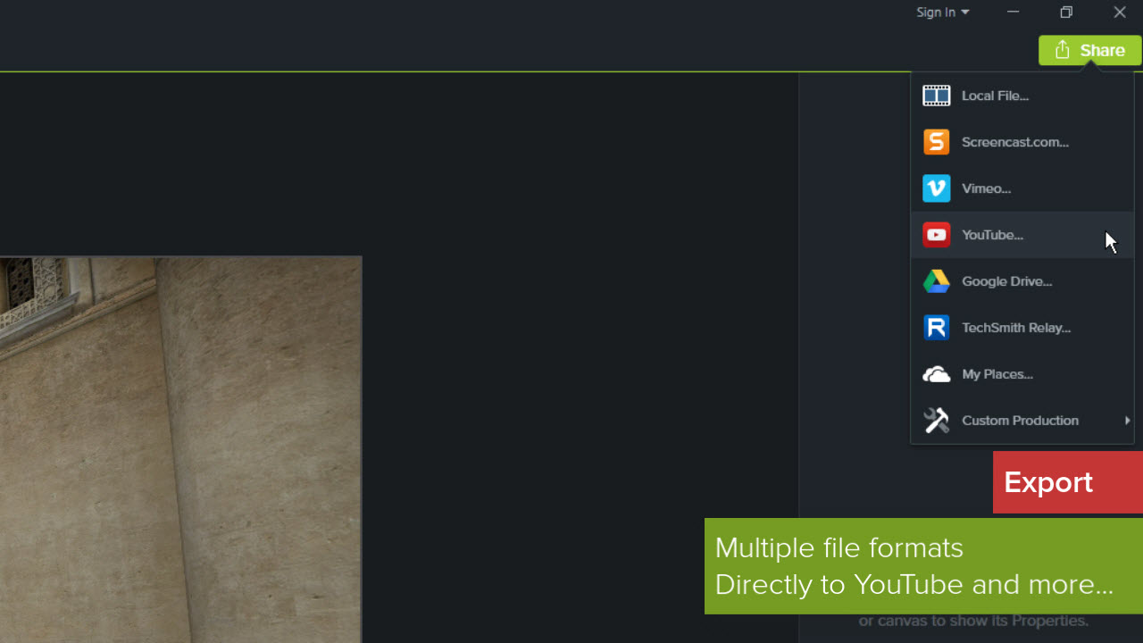 Camtasia - Subscription