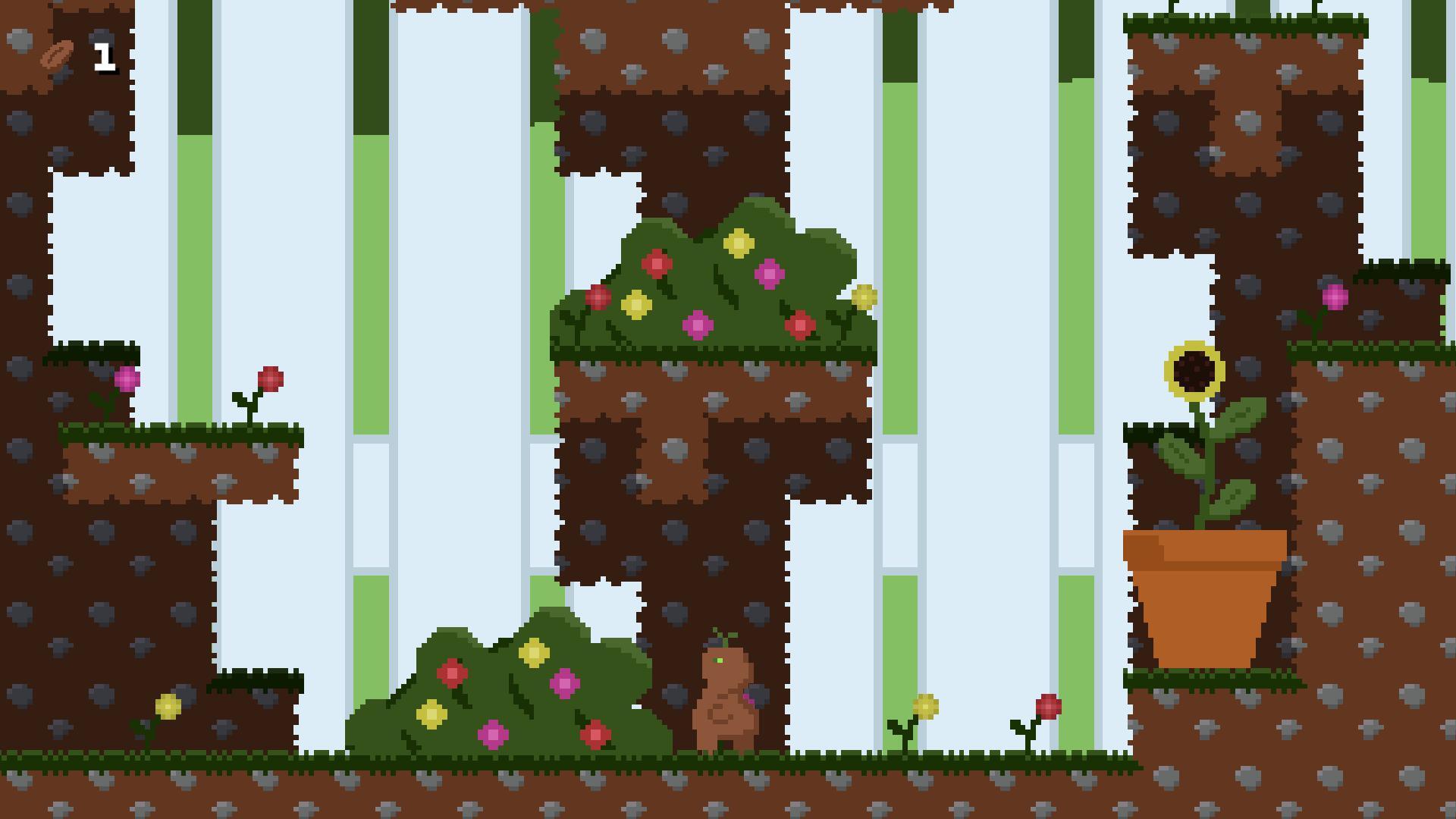 a Place to Grow (Raddi)