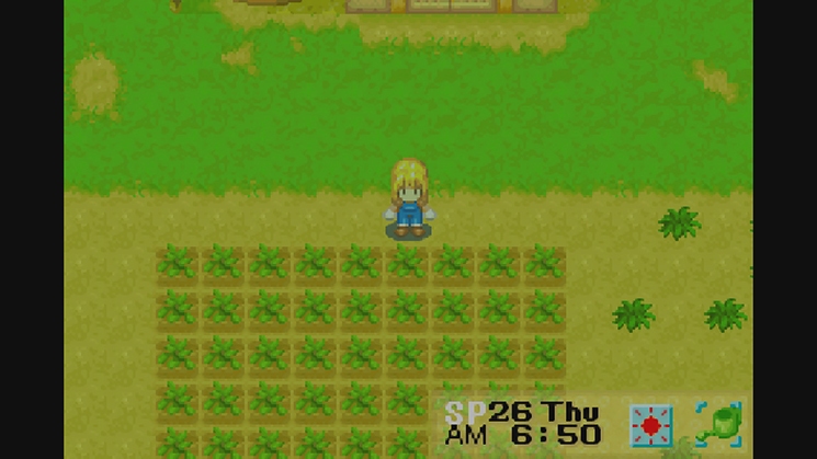 Harvest Moon: MORE friends of Mineral Town