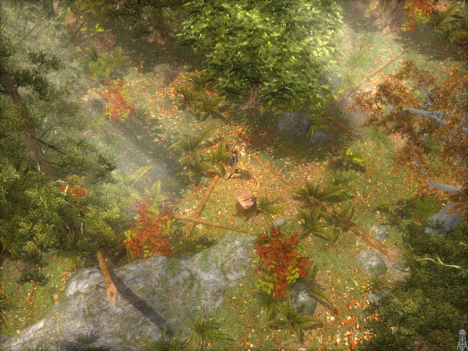 Image 435406