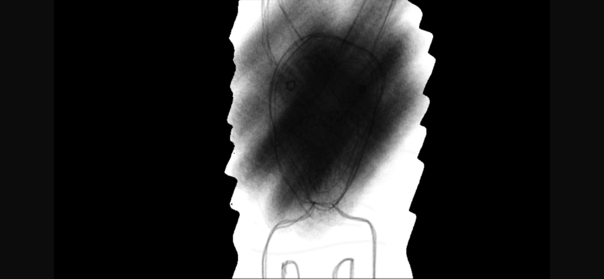 You’re not shy. Right?