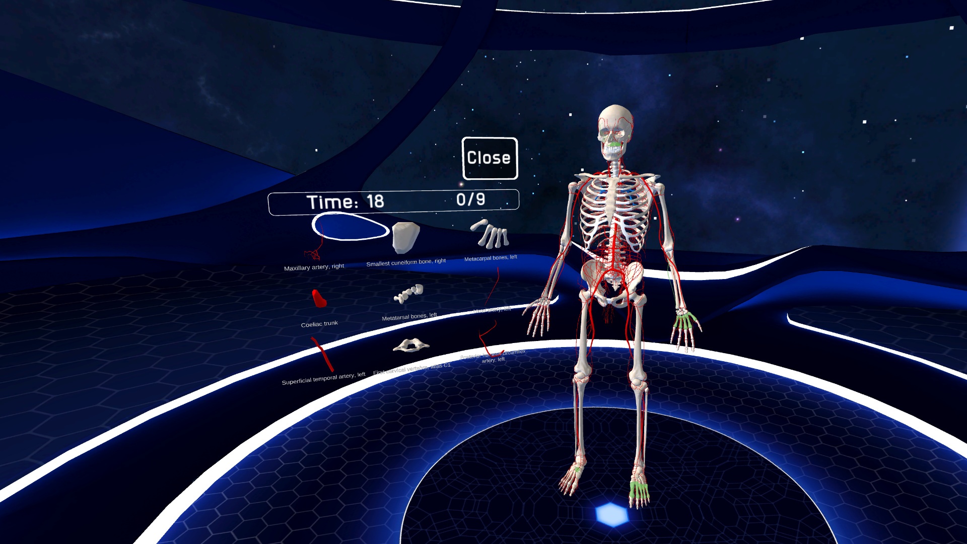 Собрать тело игра. ХЬЮМАН анатомия плейстейшен. 3d Organon VR Anatomy. Anatomy игра.