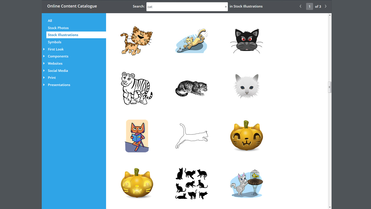 Photo & Graphic Designer 12