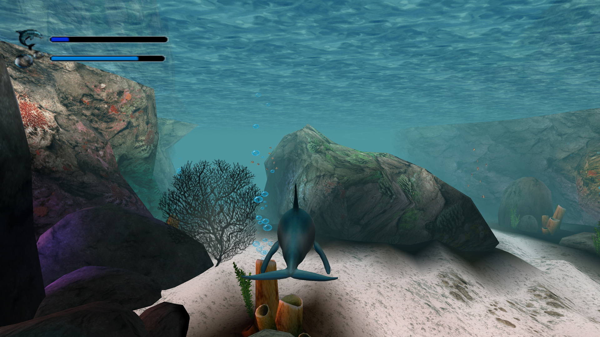 Image 3993709