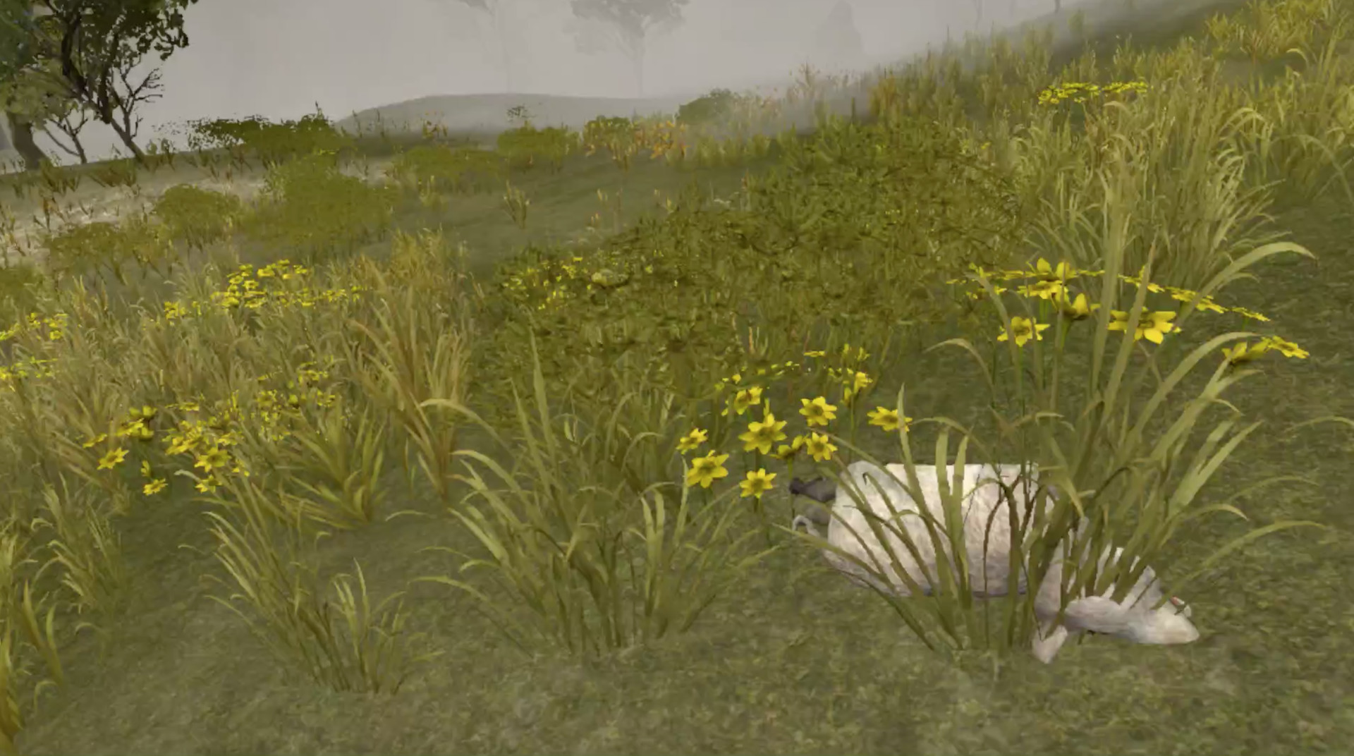 Wild Game Hunter VR