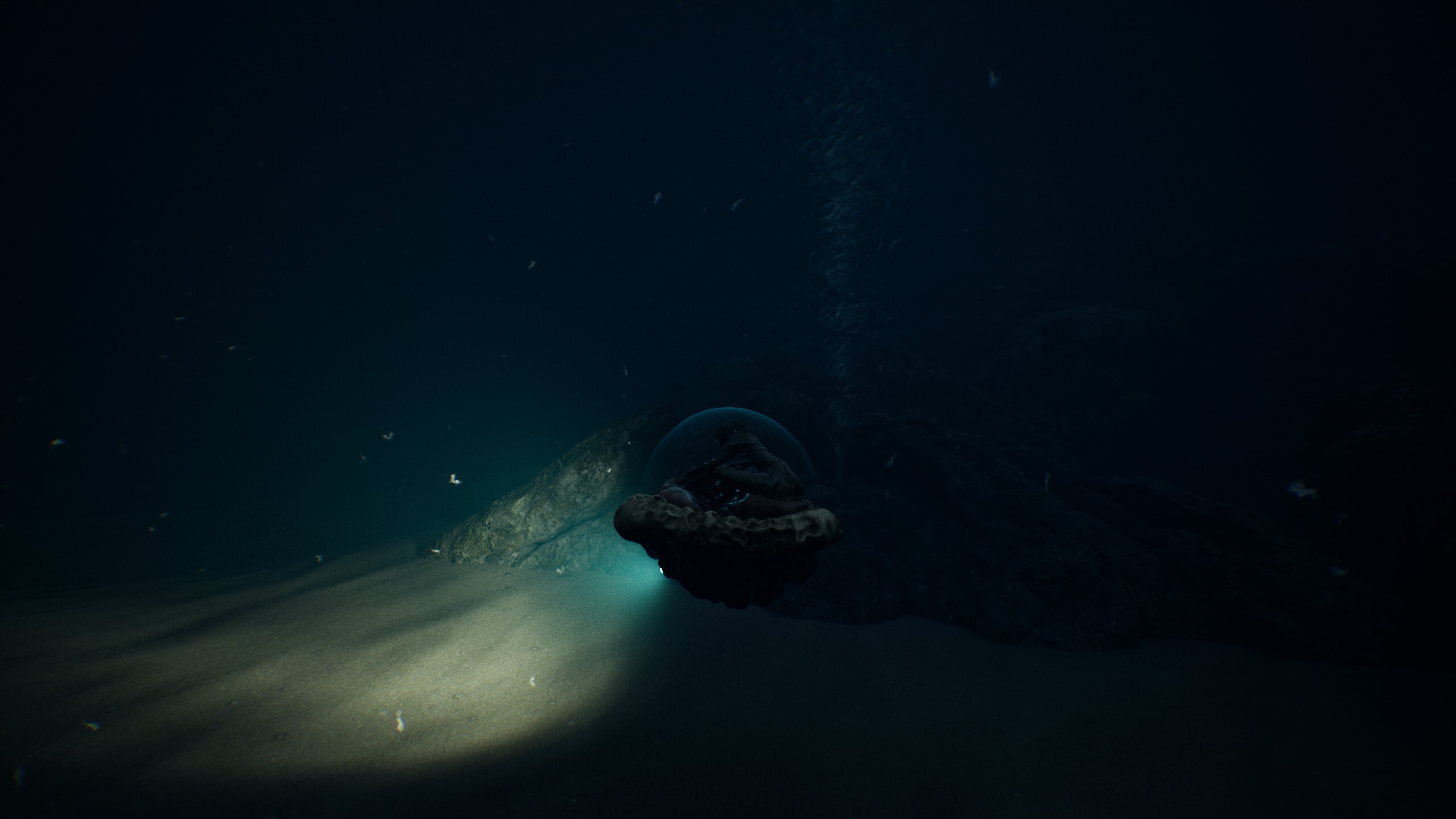 This is How Fishing Works, Right?